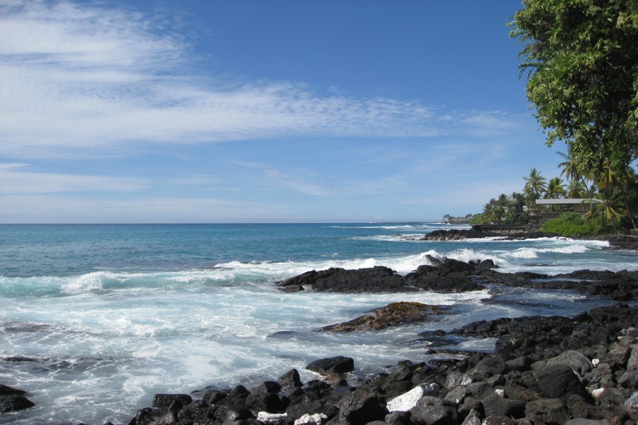 ../image/kona shoreline 7.jpg